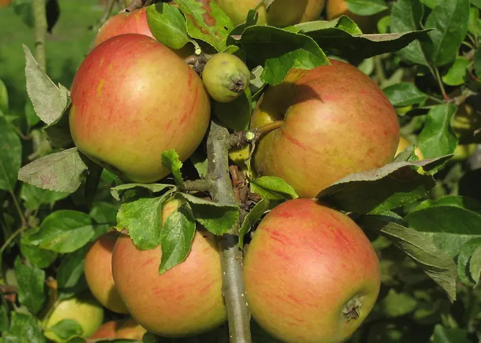 Bed & Breakfast Il Etait Fois 3*